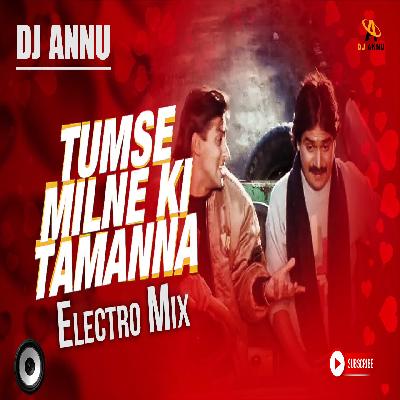 Tumse Milne Ki Tamanna - Electro Mix - DJ Annu